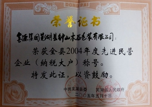 2004年度先进民营企业
